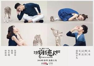 动物系恋人啊在线观看,一场跨越物种的浪漫奇遇 第2张 动物系恋人啊在线观看,一场跨越物种的浪漫奇遇 第2张